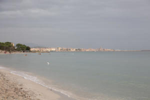 _JAD0810